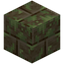 Mossy Dark Concrete Bricks