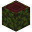 Overgrown Mangrove Log