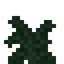 Large Fern