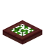 Leafy Mangrove Trapdoor