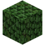 Hedge