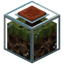 Ant Farm