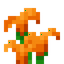 Tall Mystical Orange Flower