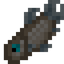 Atlantic Herring
