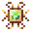 Focus of Transmutation