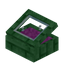 Magenta Green Enchanted Display Case