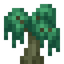 Willow Sapling
