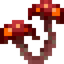 Clustered Crimson Fungus