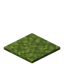 Moss Carpet