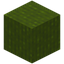Barky Green Wool