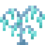 Polar Posy
