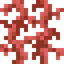 Maple Vines