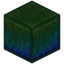 Block of Queen's Slime