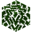 Oak Leaves