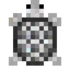 Starshell Turtle