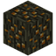 Golden Oak Wood