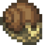 Plump Snail