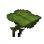 Big Dripleaf