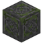 Engraved Mossy Stone Bricks