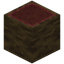 Hollow Mangrove Log