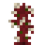 Firecracker Sapling