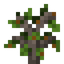 Peach Sapling