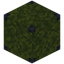 Moss Block 1x