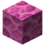 Brain Coral Block