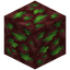 Nether Beryllium Ore