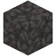 Dead Horn Coral Block