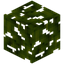 Sugar Apple Leaves