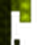 Inferium Staff