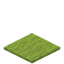 Conifer Carpet