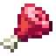 Raw Buffalo Meat