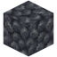 Block of Raw Platinum