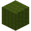 Soft Green Wool
