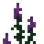 Fireweed