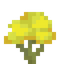 Palo Verde Sapling