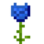 Sapphire Glowrose