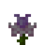 Pink Daffodil