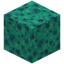 Spongy Warped Wart Block