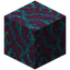 Warped Hyphae