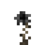 Black Rose