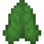 Elephant Ear