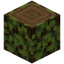 Overgrown Spruce Log