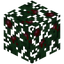 Holly Berry Leaves