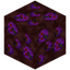 Nether Ammolite Ore