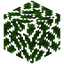 Oak Leaves