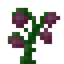Enderslime Sapling