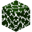 Cottonwood Leaves